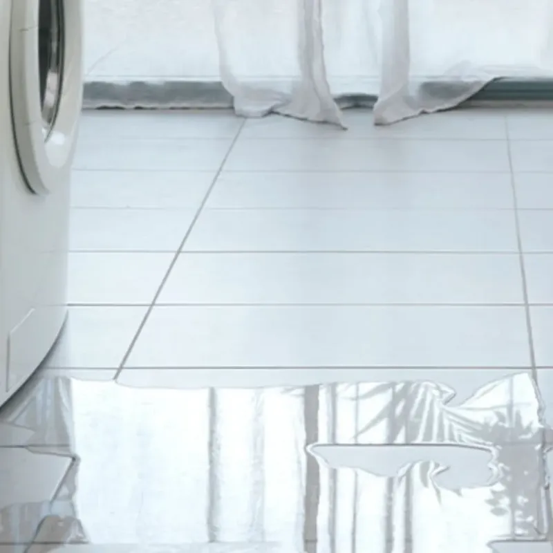Appliance Leak Cleanup in Gonzales, LA