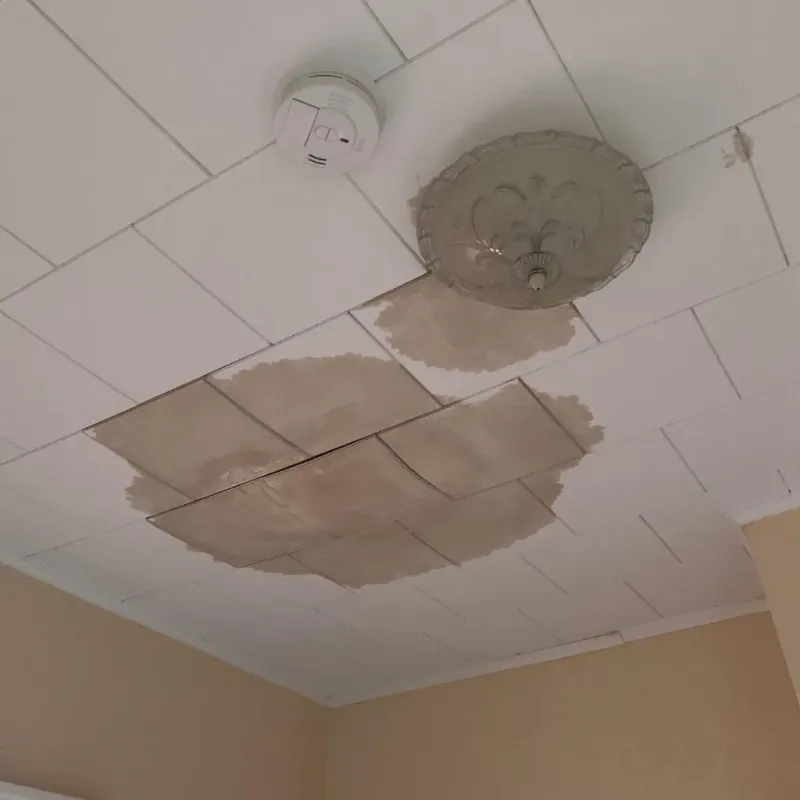 Ceiling Water Damage Repair in Gonzales, LA